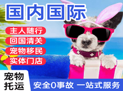 深圳航空快递国际宠物托运 【国